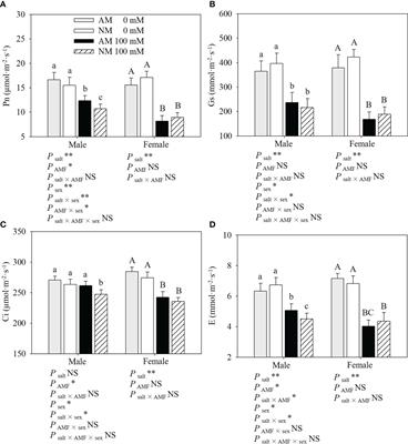 Frontiers Sex Specific Photosynthetic Capacity And Na Homeostasis In